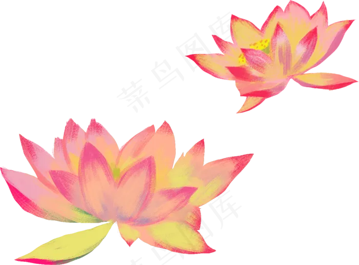 荷花免扣png(1230X909(DPI:300))psd模版下载