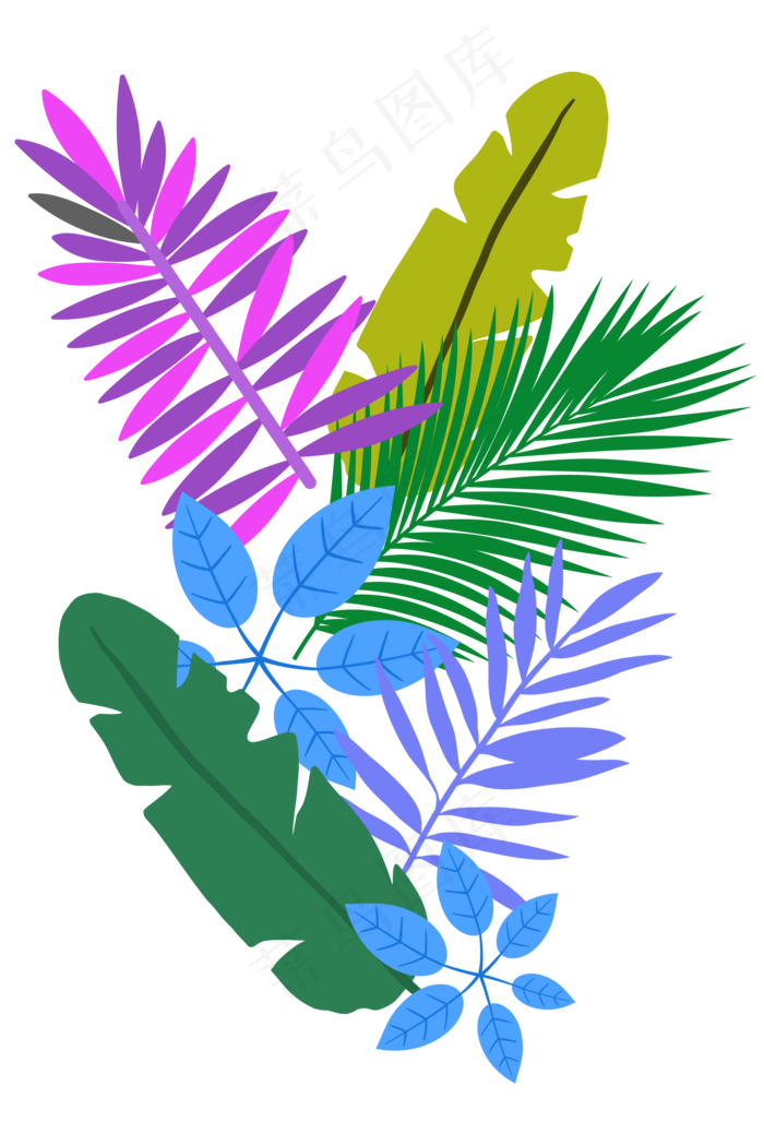 热带植物彩色叶子