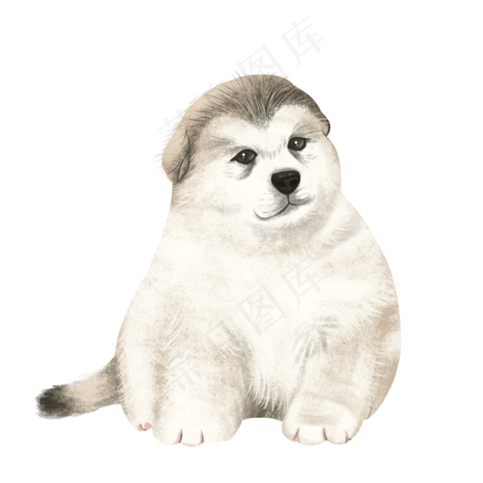 可爱阿拉斯加宠物犬动物萌,免抠元素(3000*3000px 300 dpi )psd模版下载
