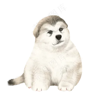可爱阿拉斯加宠物犬动物萌,免抠元素