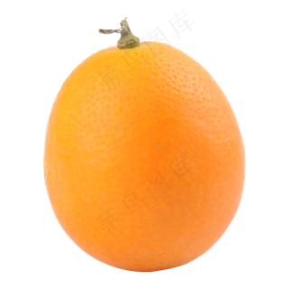 黄色金桔实拍元素