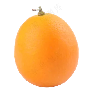 黄色金桔实拍元素