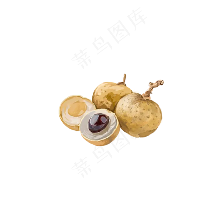 二十四节气养生民俗食物龙眼PNG,免抠元素(2000*2000px 300 dpi )psd模版下载