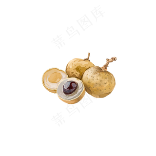 二十四节气养生民俗食物龙眼PNG,免抠元素