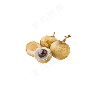 二十四节气养生民俗食物龙眼PNG,免抠元素