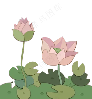 彩色植物清新装饰