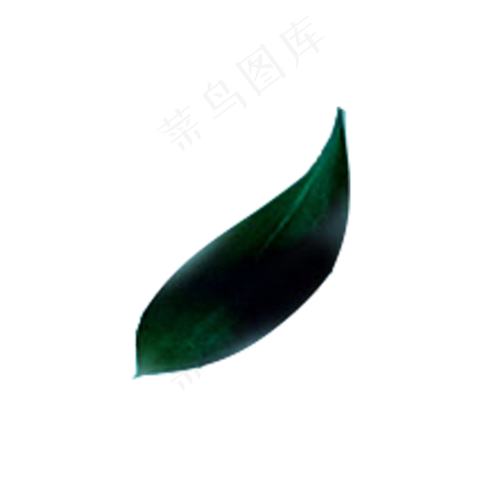 春天植物绿叶下载,免抠元素