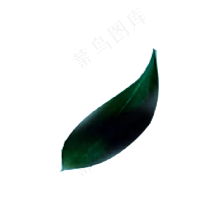 春天植物绿叶下载,免抠元素(2000X2000(DPI:300))psd模版下载