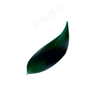 春天植物绿叶下载,免抠元素