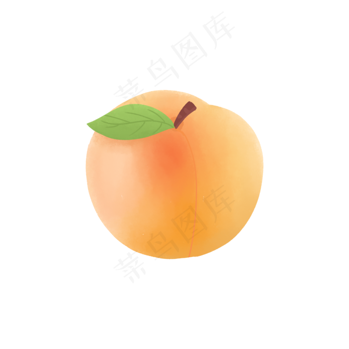熟透的杏(2000*2000px 300 dpi )psd模版下载