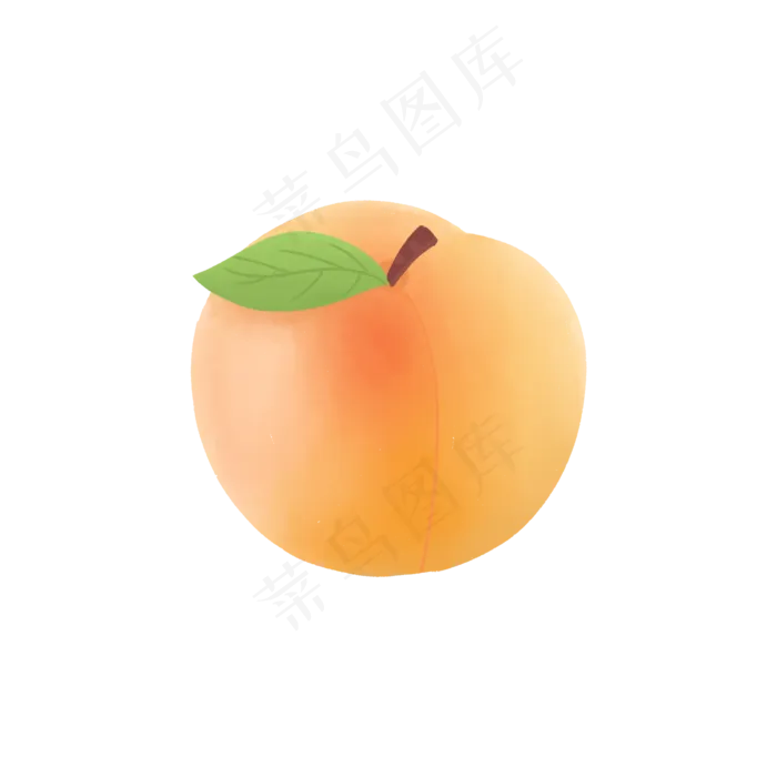 熟透的杏(2000*2000px 300 dpi )psd模版下载