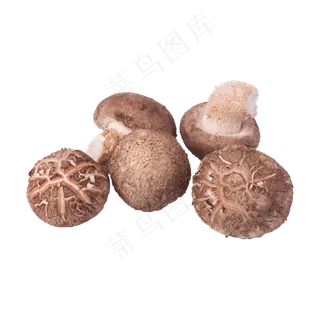 香菇（png免抠）