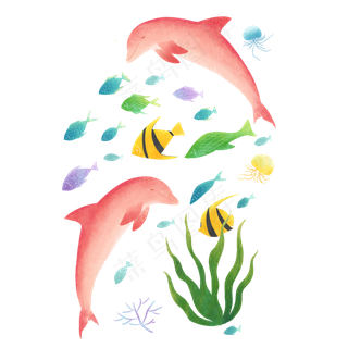 夏季海边元素装饰图,免抠元素