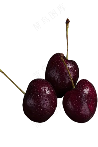 三个新鲜深红色的李子png素材