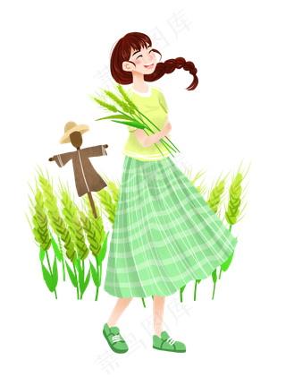 大暑收小麦女孩