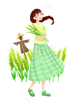 大暑收小麦女孩