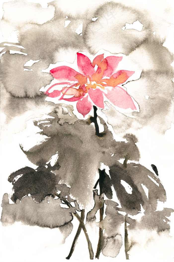 水墨荷花水彩画PNG免抠素材(3666X5500(DPI:300))psd模版下载