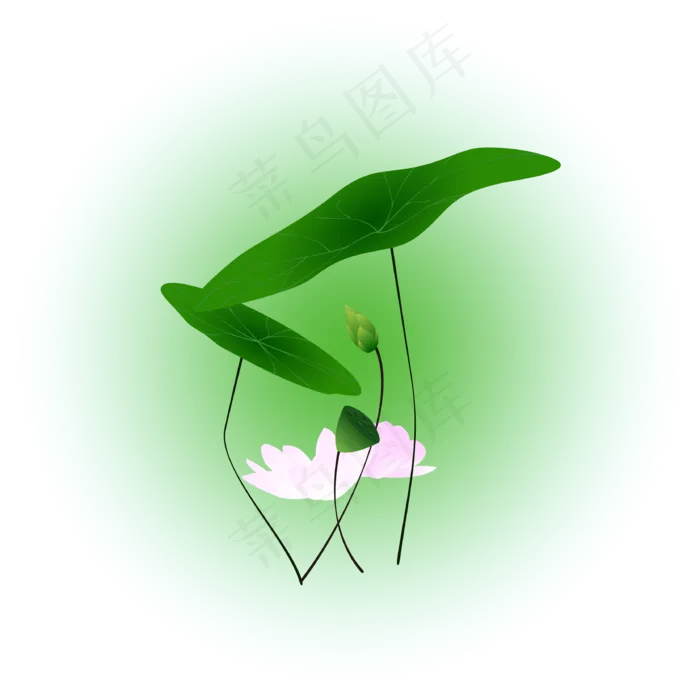 夏日荷花清新精美(3334*3334px 300 dpi )ai矢量模版下载