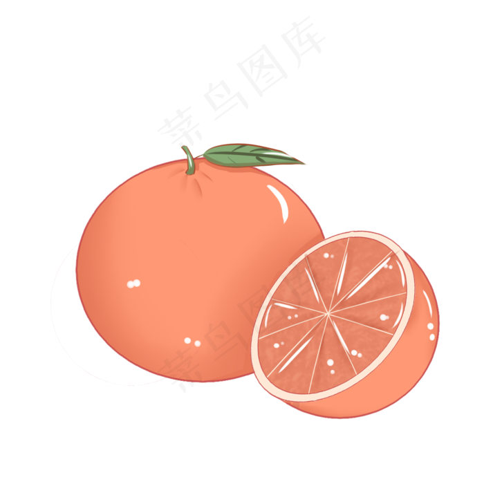 桔子味道水果植物橘色种植