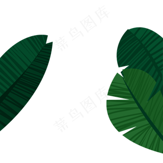 手绘热带植物绿叶,免抠元素