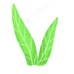 春天植物