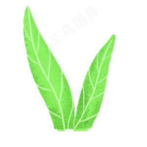 春天植物