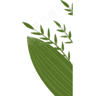 绿叶春季自然植物