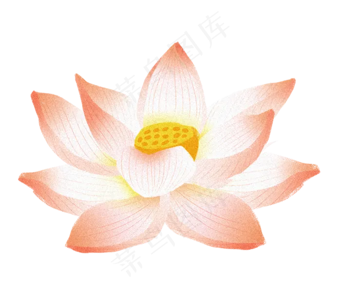 一朵荷花(1426X1204(DPI:300))psd模版下载