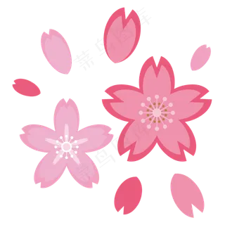樱花花瓣素材,免抠元素