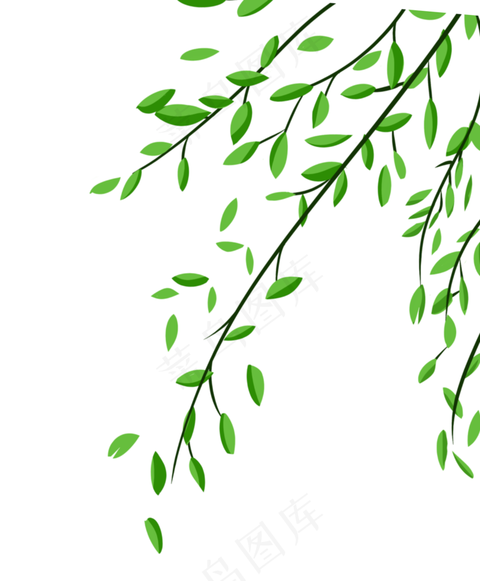 树叶叶子植物