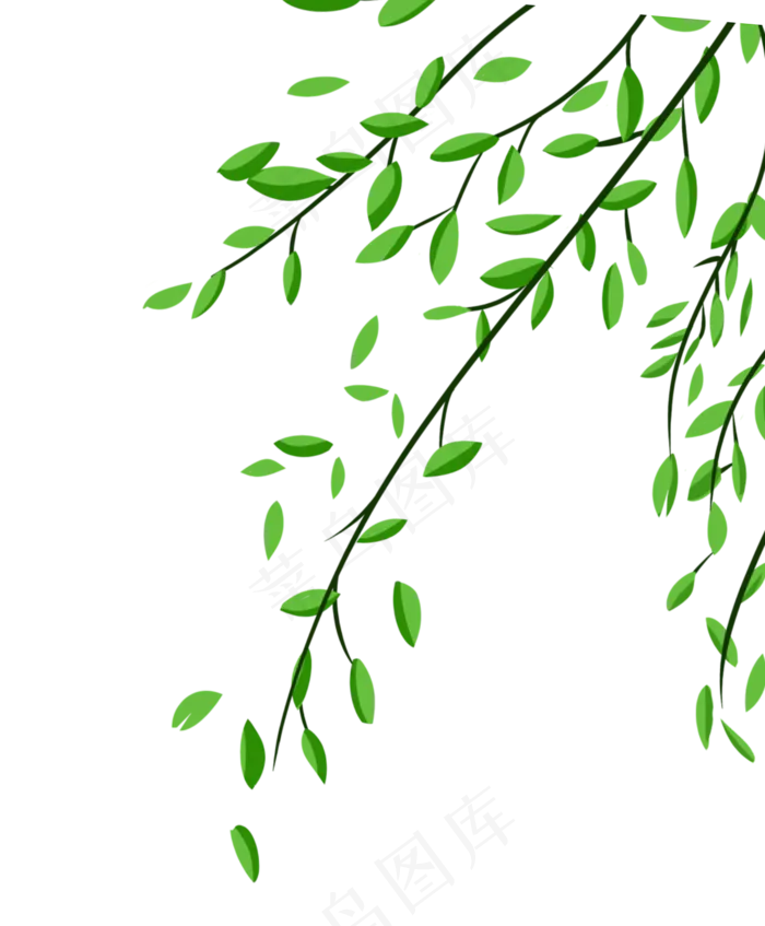 树叶叶子植物(1538X1862(DPI:3000))psd模版下载