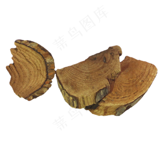 雷公藤中药药材,免抠元素