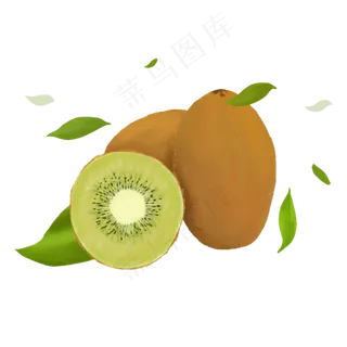 手绘半写实水果之奇异果