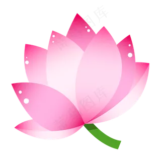 一朵漂亮的粉色荷花