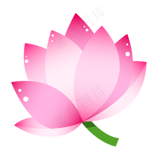 一朵漂亮的粉色荷花