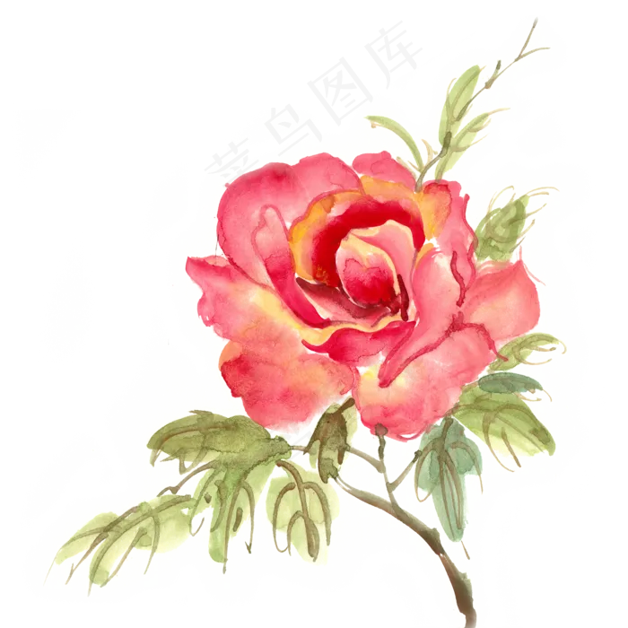 水墨画红色玫瑰花(4724X4724(DPI:300))psd模版下载