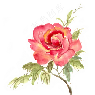 水墨画红色玫瑰花