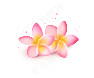 夏季手绘缅栀子