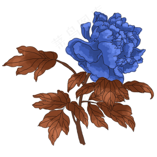 中国风手绘花卉插图,免抠元素