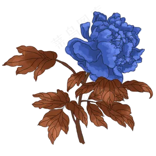 中国风手绘花卉插图,免抠元素