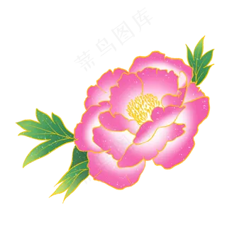 金边国潮风牡丹花