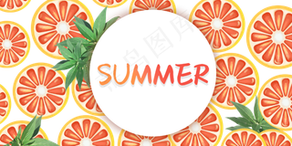 夏日装饰边框西柚彩色
