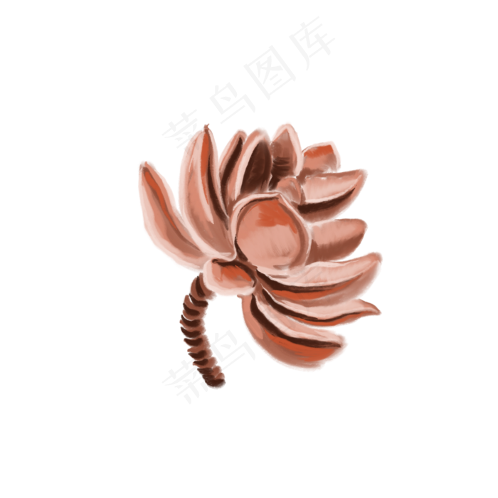 扁平风一朵花装饰插图(2000X2000(DPI:132))psd模版下载