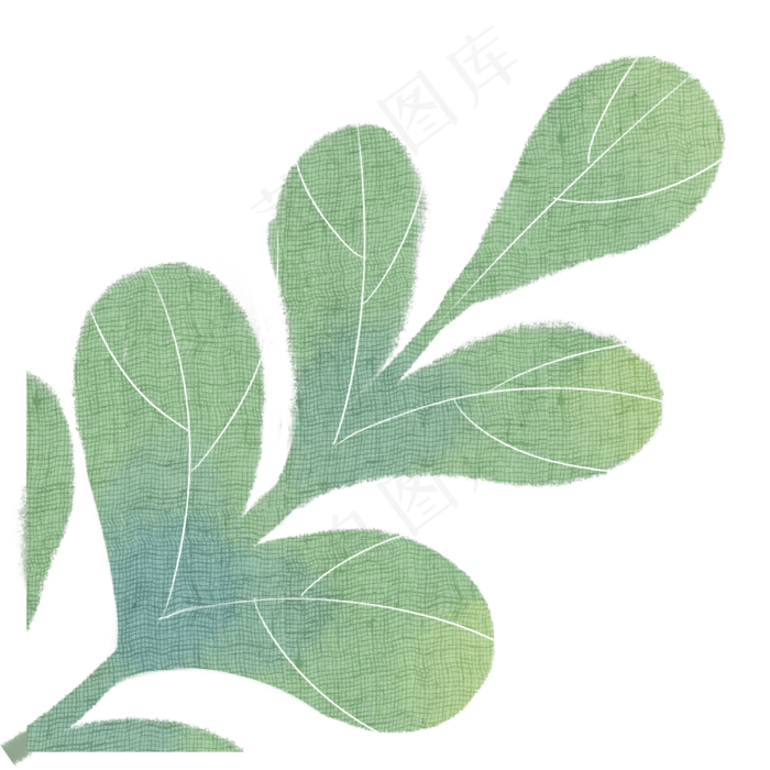 叶子自然枝叶植物(2000X2000(DPI:300))psd模版下载
