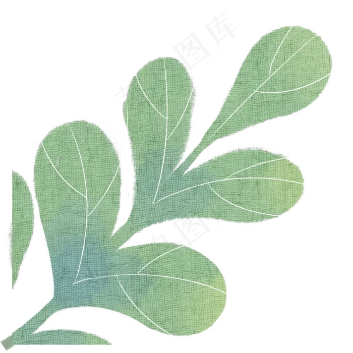 叶子自然枝叶植物(2000X2000(DPI:300))psd模版下载