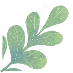 叶子自然枝叶植物