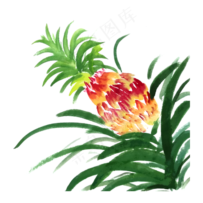 凤梨菠萝水果水墨国画鲜果热带P(3000X3000(DPI:300))psd模版下载