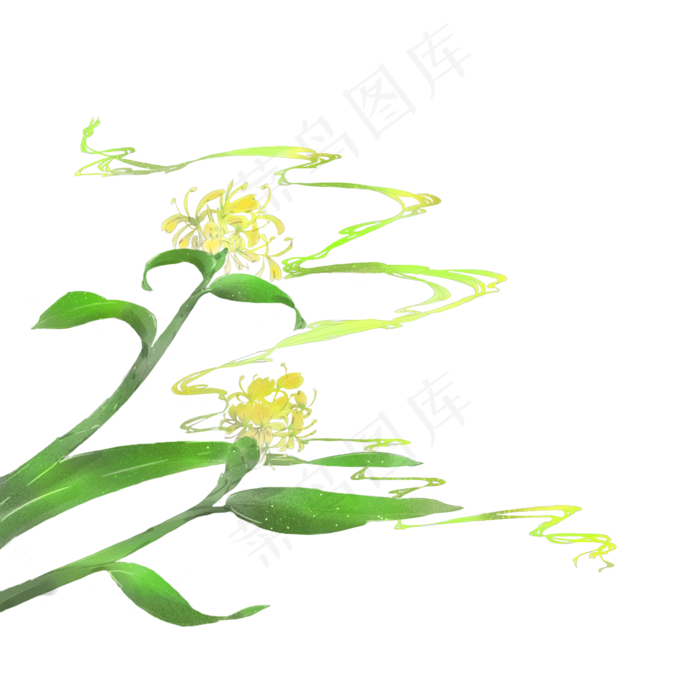 古风素材绿色金黄色野姜花(2100X2100(DPI:300))psd模版下载
