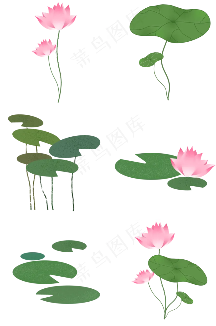 荷花荷叶(2000X3020(DPI:300))psd模版下载