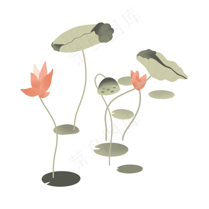 可爱简约荷花荷叶莲花(2000X2000(DPI:72))psd模版下载